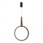 Подвесной светильник ST-Luce SHAPE SL6131.403.20