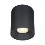 Светильник потолочный ST-Luce ST167.402.01