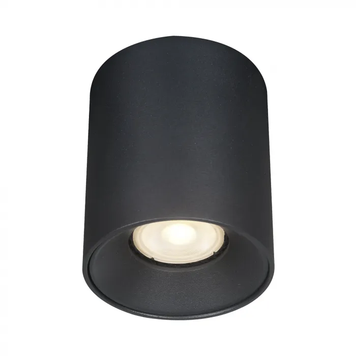Светильник потолочный ST-Luce ST167.402.01 от ImperiumLoft