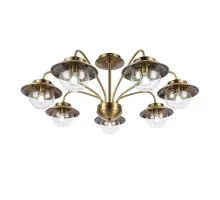 Потолочная люстра EVOLUCE Garonni SLE110102-07  Потолочная люстра EVOLUCE Garonni SLE110102-07