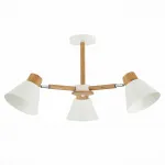 Люстра на штанге EVOLUCE Buve SLE103702-03 