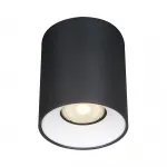 Светильник потолочный ST-Luce ST167.452.01