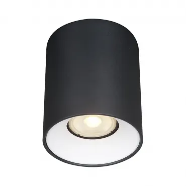 Светильник потолочный ST-Luce ST167.452.01