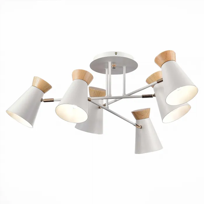Потолочная люстра EVOLUCE Alfeo SLE1252-502-06 от ImperiumLoft