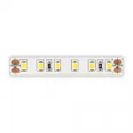 Светодиодная лента ST-Luce ST1001.310.65