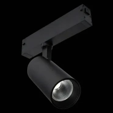 Трековый светильник ST-Luce SKYLINE 220 ST660.496.10H