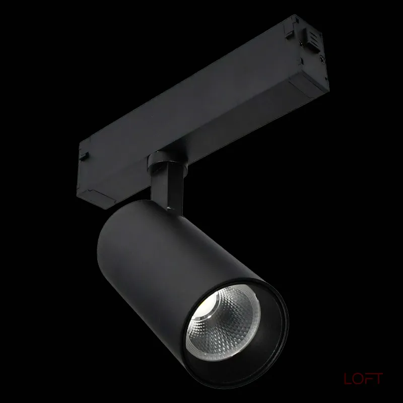 Трековый светильник ST-Luce SKYLINE 220 ST660.496.10H