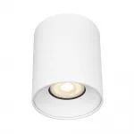 Светильник потолочный ST-Luce ST167.502.01