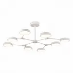 Люстра на штанге EVOLUCE Monta SLE6003-502-08 от ImperiumLoft