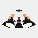 Светильник потолочный EVOLUCE VISTA SLE1256-402-05