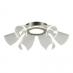 Светильник потолочный светодиодный ST-Luce FAIRY SL6235.102.20