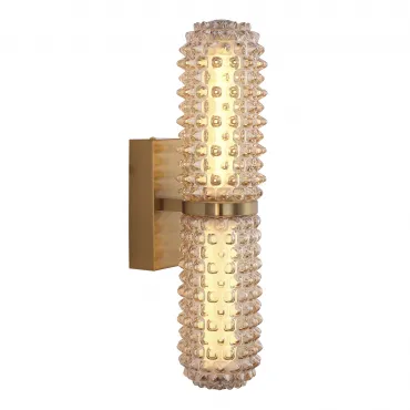 Светильник настенный ST-Luce SAGUARO SL6144.301.01