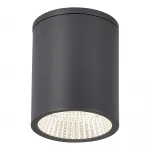 Светильник уличный потолочный ST-Luce TUBO SL9514.712.01