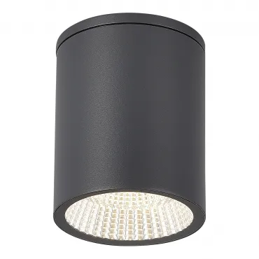 Светильник уличный потолочный ST-Luce TUBO SL9514.712.01