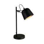 Светильник настольный EVOLUCE BLANK SLE1805-404-01