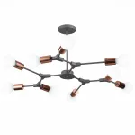 Люстра на штанге EVOLUCE Palare SLE106403-09 