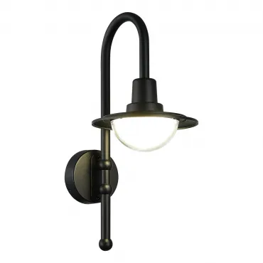 Светильник уличный настенный ST-Luce PROCHE SL9512.401.01