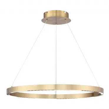 Светильник подвесной ST-Luce PARILLA SL6238.333.01