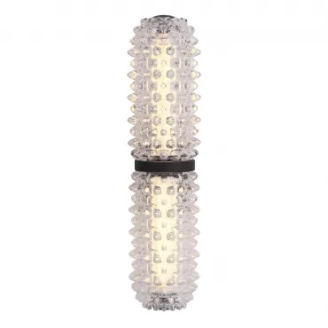 Светильник настенный ST-Luce SAGUARO SL6144.401.01