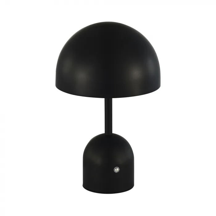 Настольный светильник EVOLUCE ECLAT SLE1806-404-01 от ImperiumLoft