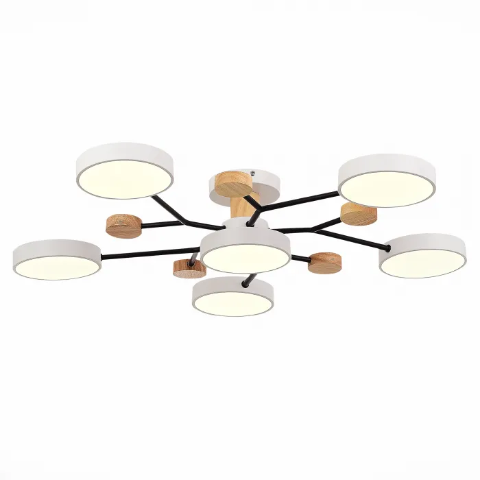 Потолочная люстра EVOLUCE Faema SLE6006-502-06 от ImperiumLoft