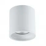 Светильник потолочный ST-Luce ST165.542.12