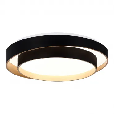 Светильник потолочный EVOLUCE CROSBY SLE6009-402-01