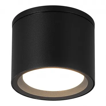Светильник уличный потолочный ST-Luce TUBO SL9006.402.01