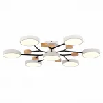 Потолочная люстра EVOLUCE Faema SLE6006-502-07 от ImperiumLoft