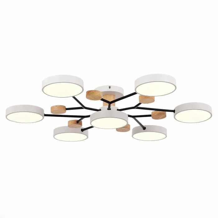 Потолочная люстра EVOLUCE Faema SLE6006-502-07 от ImperiumLoft