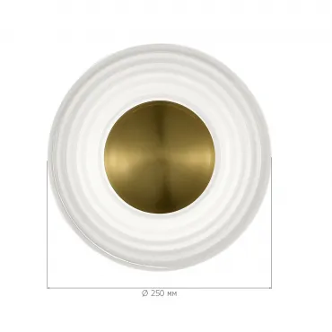 Светильник настенный ST-Luce MOON SL6125.301.01