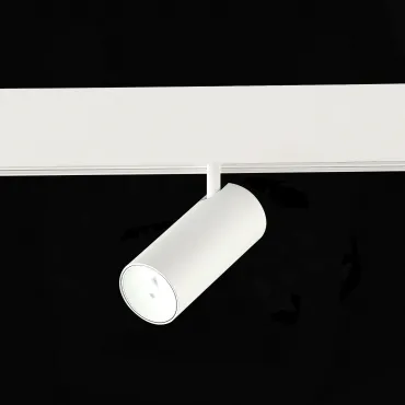 Трековый светильник ST-Luce SKYLINE 48 ST375.506.07ZGB