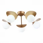 Потолочная люстра EVOLUCE Bolzano SLE220502-05  Потолочная люстра EVOLUCE Bolzano SLE220502-05