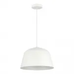 Подвесной светильник EVOLUCE BLANK SLE1805-503-01