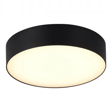 Светильник уличный потолочный ST-Luce SUN SL9518.402.01