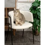 Стул Нэлли букле белый 2 шт. Stool Group УТ000037195 от ImperiumLoft