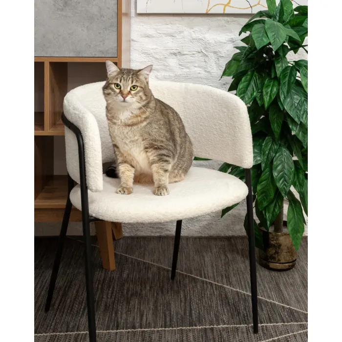 Стул Нэлли букле белый 2 шт. Stool Group УТ000037195 от ImperiumLoft