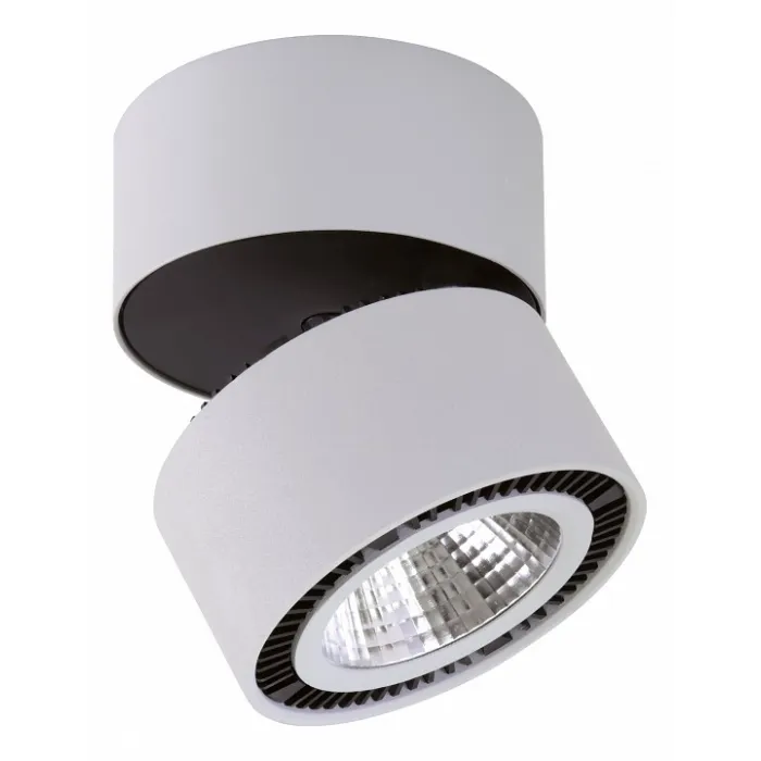 Светильник на штанге Lightstar Forte Muro 214839 от ImperiumLoft