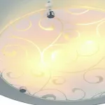 Потолочный светильник Arte Lamp Ariel A4806PL-2CC 