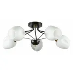 Потолочная люстра Arte Lamp Brighton A2706PL-5CK 