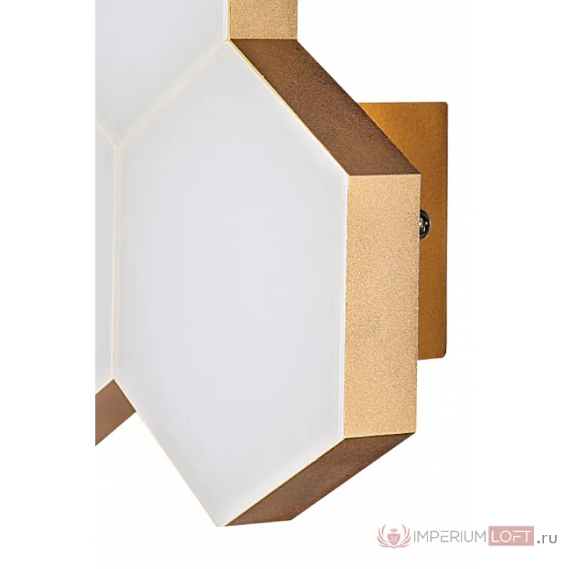 Накладной светильник Lightstar Favo LED 750633 Цвет арматуры золото от ImperiumLoft