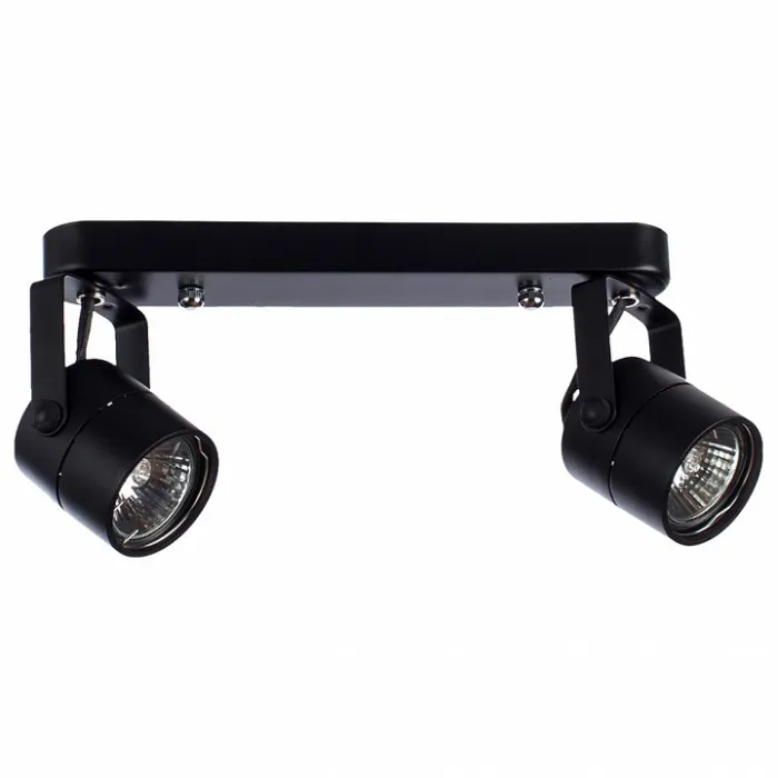 Спот Arte Lamp Mizar A1311PL-2BK от ImperiumLoft
