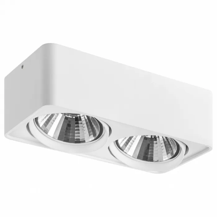 Накладной светильник Lightstar Monocco 212626 от ImperiumLoft