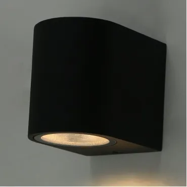 Накладной светильник Arte Lamp 3102 A3102AL-1BK Цвет арматуры черный Цвет плафонов черный