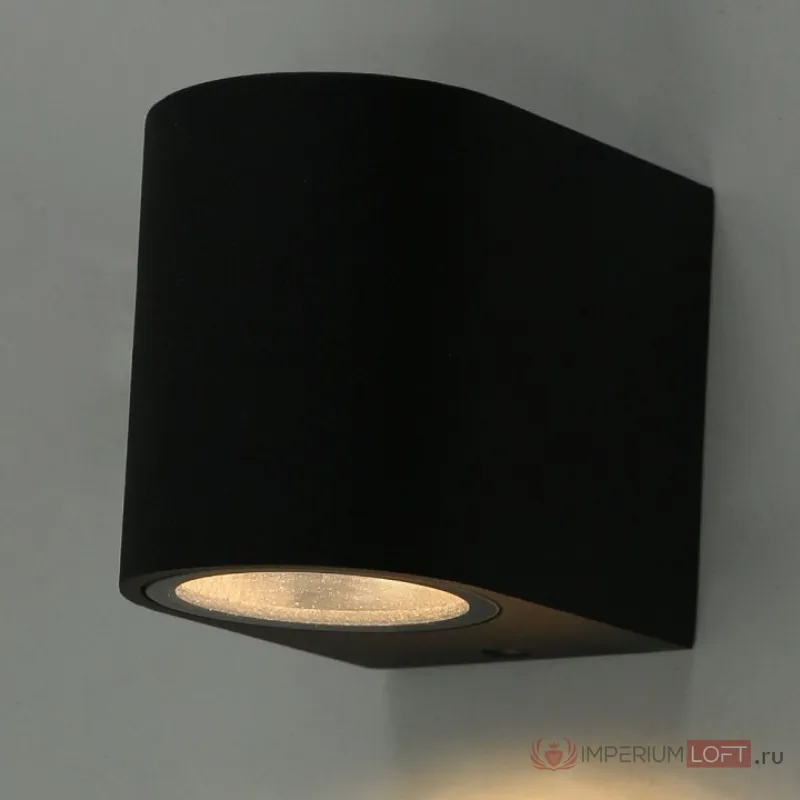 Накладной светильник Arte Lamp 3102 A3102AL-1BK Цвет арматуры черный Цвет плафонов черный от ImperiumLoft