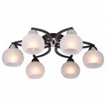 Потолочная люстра TopLight Philomena TL3730X-06BC 