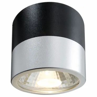 Накладной светильник Deko-Light Cana 299363 Цвет арматуры серебро от ImperiumLoft
