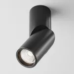 Настенный светильник Maytoni Dafne C027CL-L10B4K