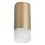 Накладной светильник Lightstar Rullo R44031