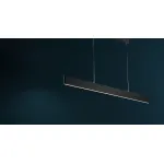 Подвесной светильник Maytoni Step P010PL-L23B4K Цвет арматуры черный Цвет плафонов черный от ImperiumLoft